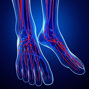 Possible Health Conditions May Lead to Poor Circulation